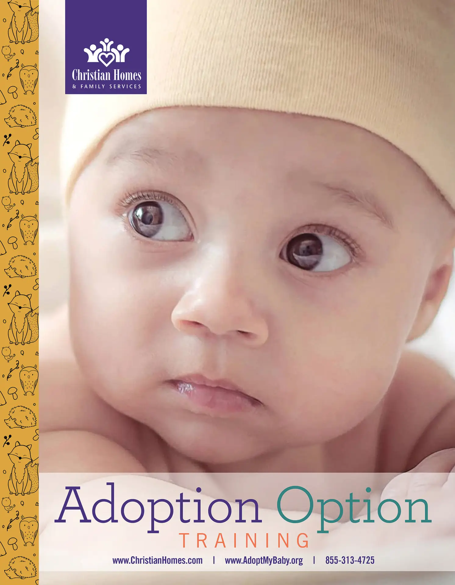 Close-up of a baby’s face with a yellow hat, a decorative left border, and the Christian Homes logo; text reads 'Adoption Option Training'.